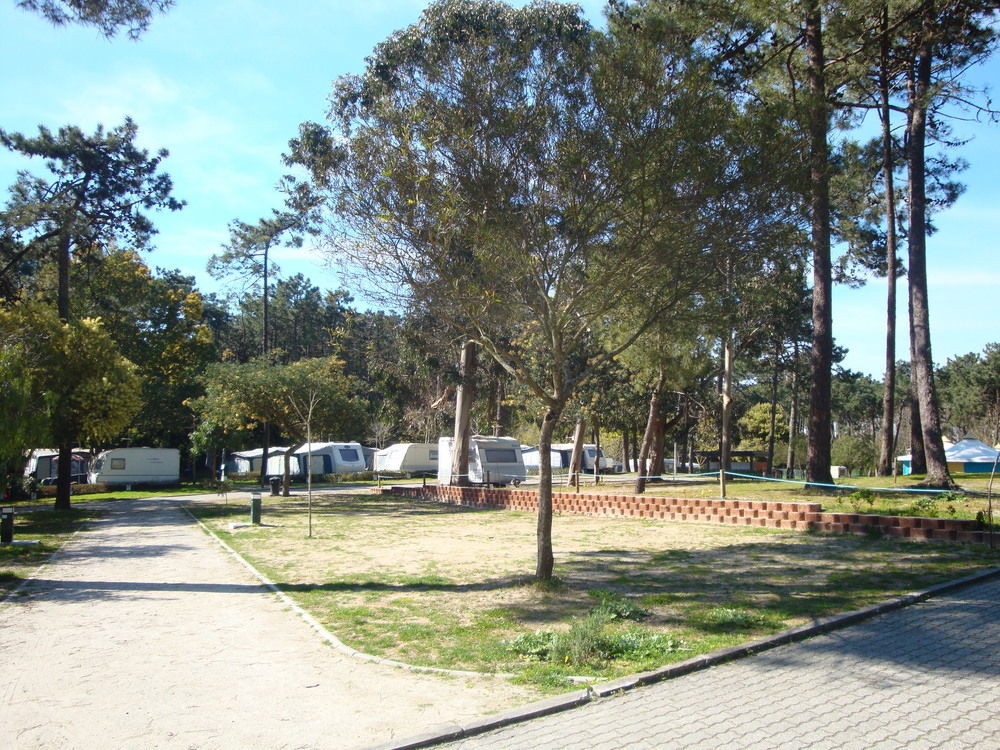 Parque De Campismo Orbitur Caminha Ξενοδοχείο Εξωτερικό φωτογραφία